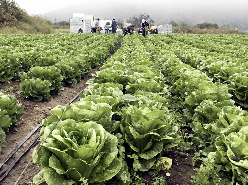 AgroConCiencia: Formando agricultores para el futuro