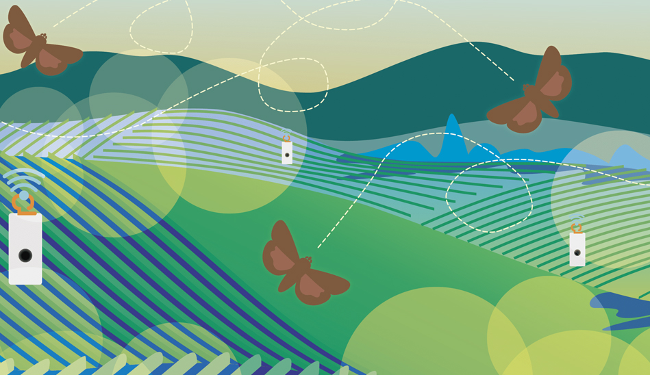 La confusión sexual de las plagas: estrategia de biocontrol que protagoniza la primera edición de revista Biologicalas Latam