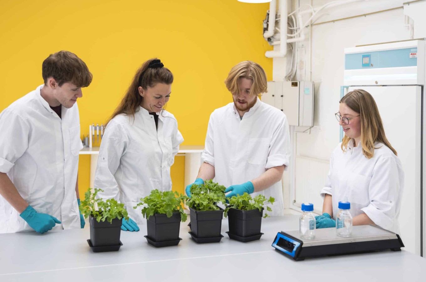 Startup danesa recibe inversión de US$ 6,7 millones para desarrollar bioinsumos agrícolas