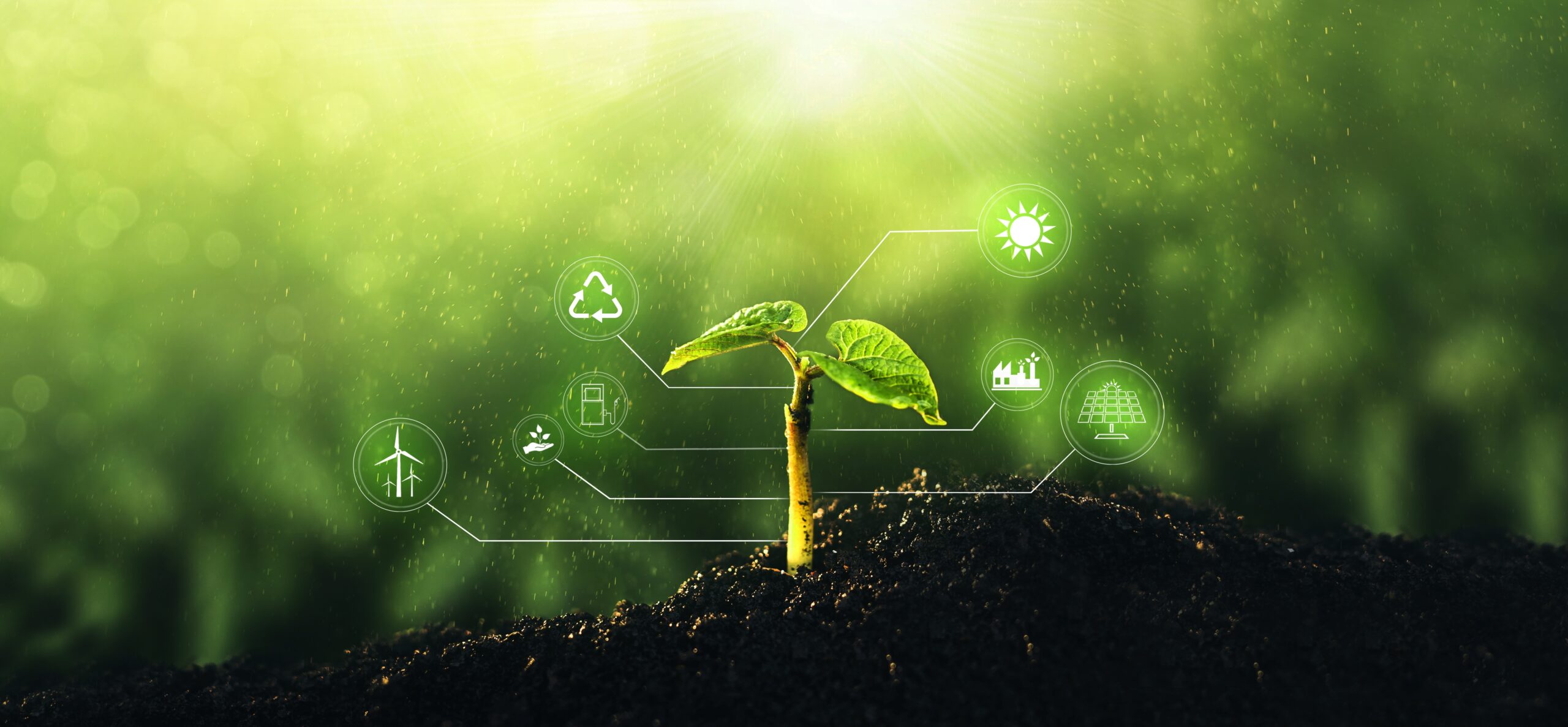 Corteva lanza plataforma para acelerar la innovación agrotecnológica