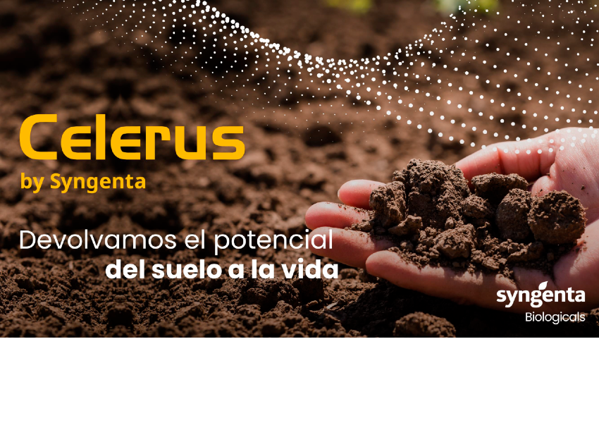 Celerus®, el programa de Syngenta que busca devolverle la vida al suelo