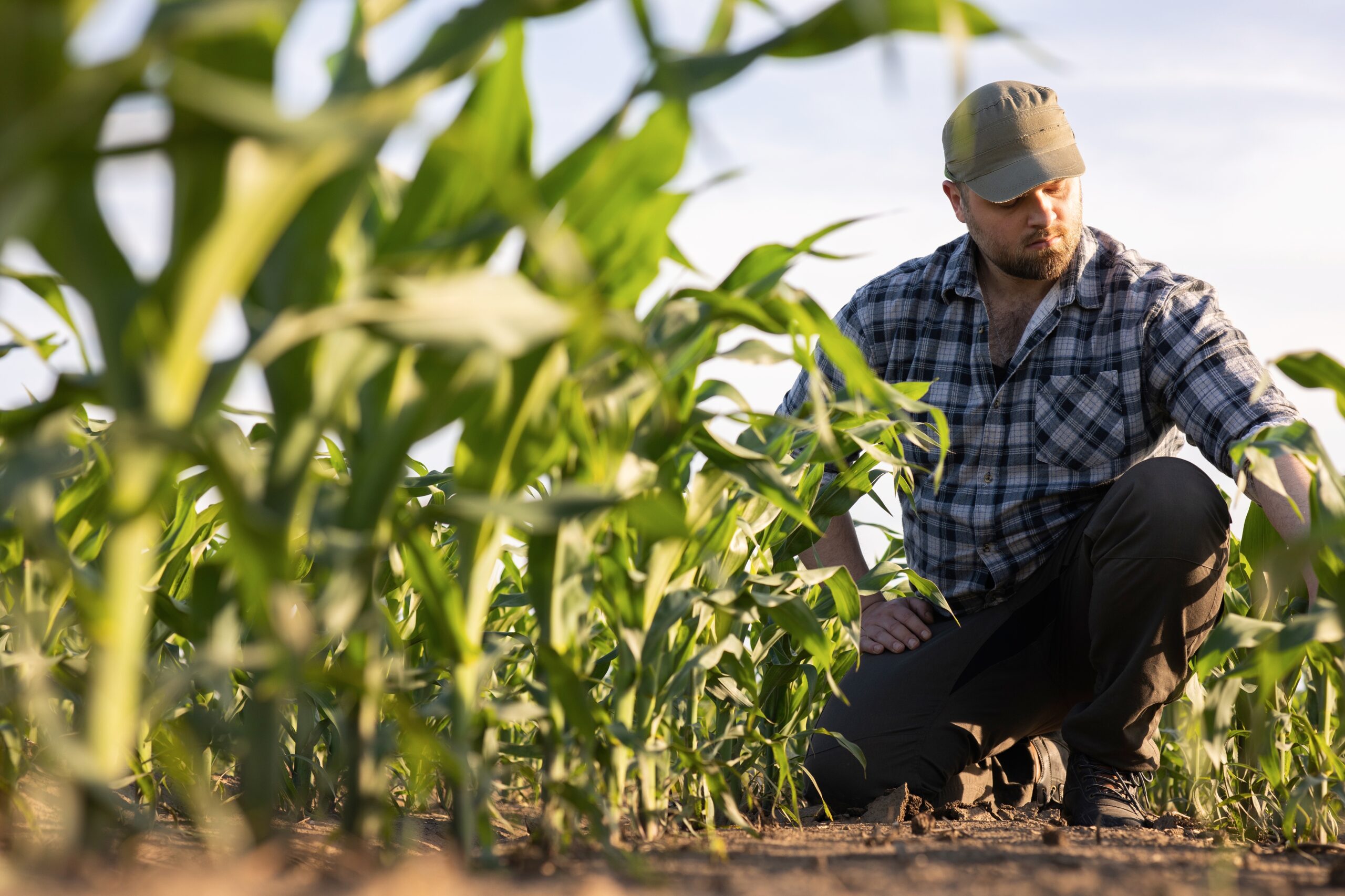 El 88% de agricultores del mundo mantendrá o aumentará sus gastos en biológicos