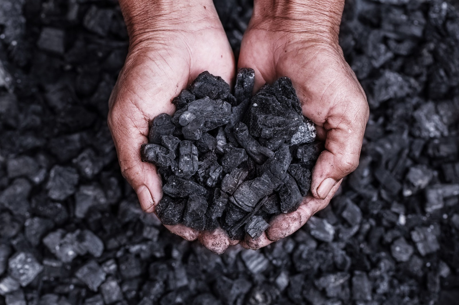 Biochar, el material que promete eliminar los metales pesados de los suelos del Perú