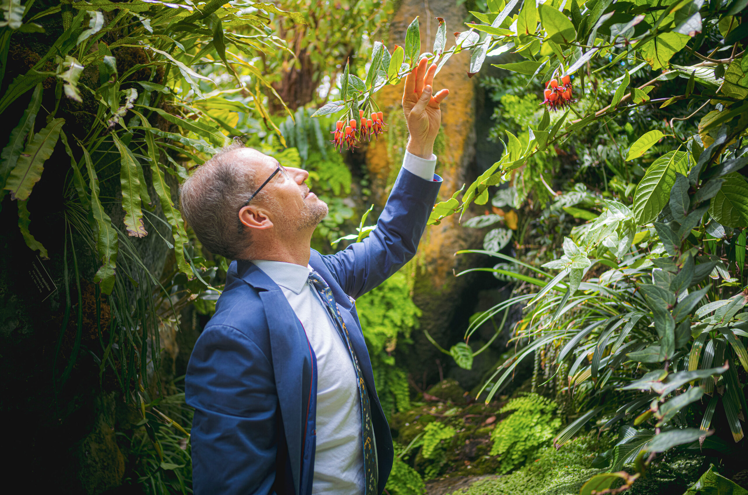 El botánico que busca resolver los problemas del mundo y de las personas que viven en él con las plantas