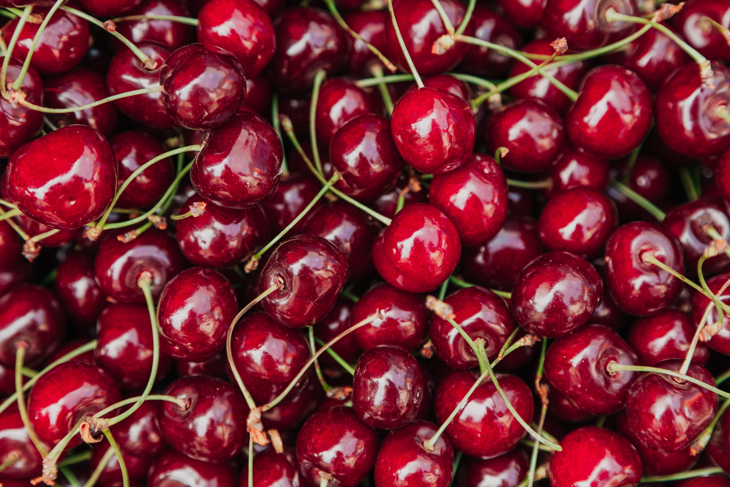 Manejo integrado del suelo y la nutrición