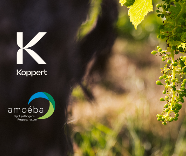 Fortaleciendo la colaboración estratégica: Koppert invierte en la empresa de tecnología verde Amoéba