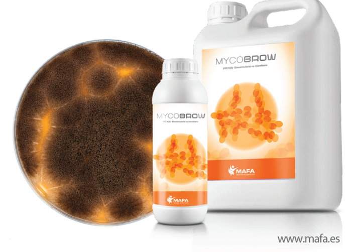 MAFA Bioscience  avanza en su  internacionalización con  la certificación CE de  MYCOBROW
