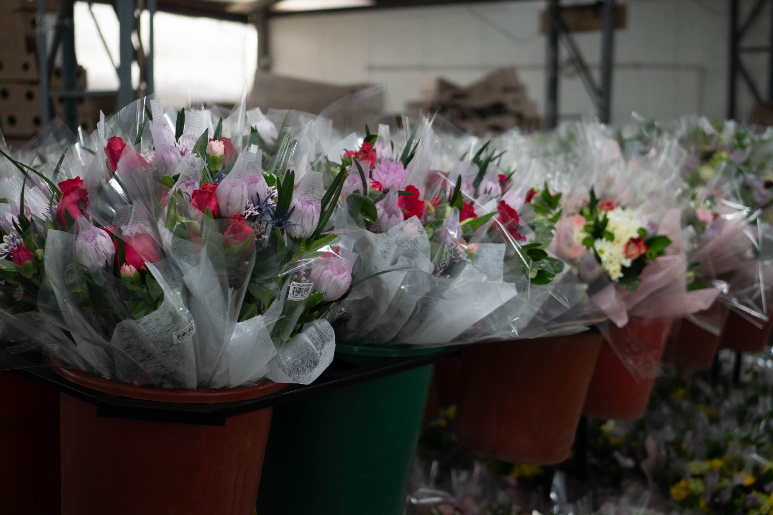 Competitividad sostenible: el verdadero valor de los bioinsumos en la floricultura