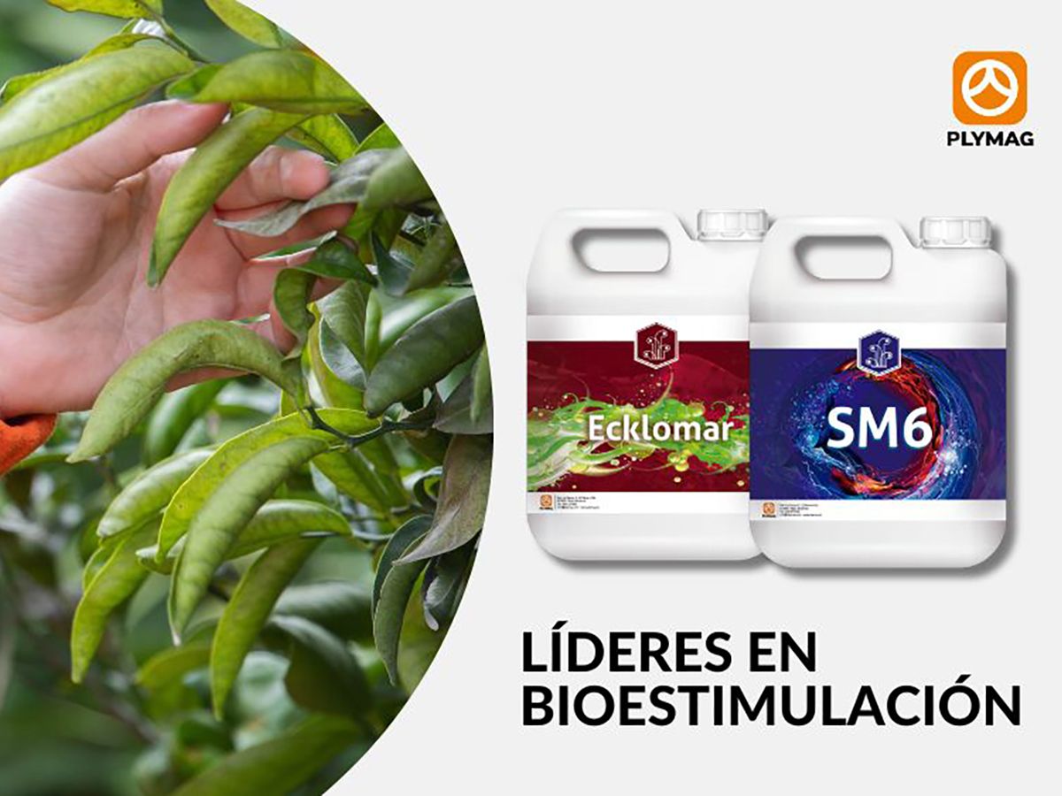¡Todos los beneficios de las algas con SM6® y Ecklomar®!