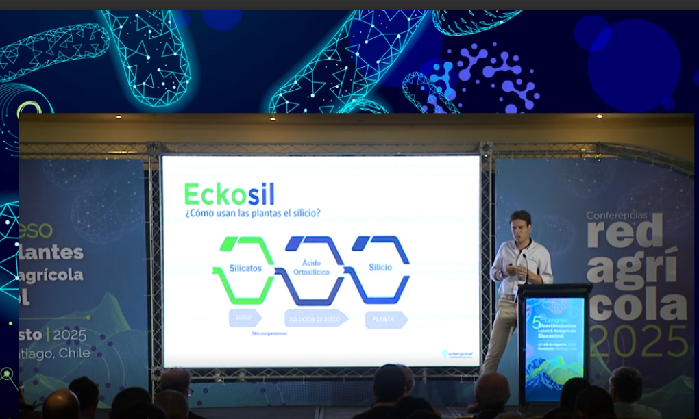 Eckosil, silicio biodisponible que mejora la tolerancia de las plantas al estrés ambiental