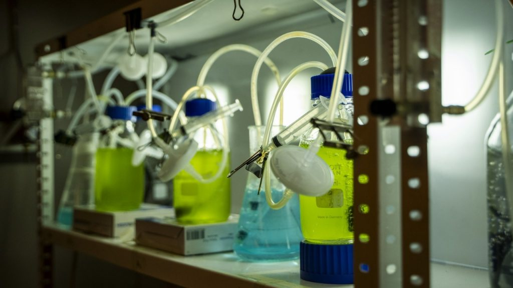 Consorcios de microalgas y bacterias serían claves para la recuperación del agua