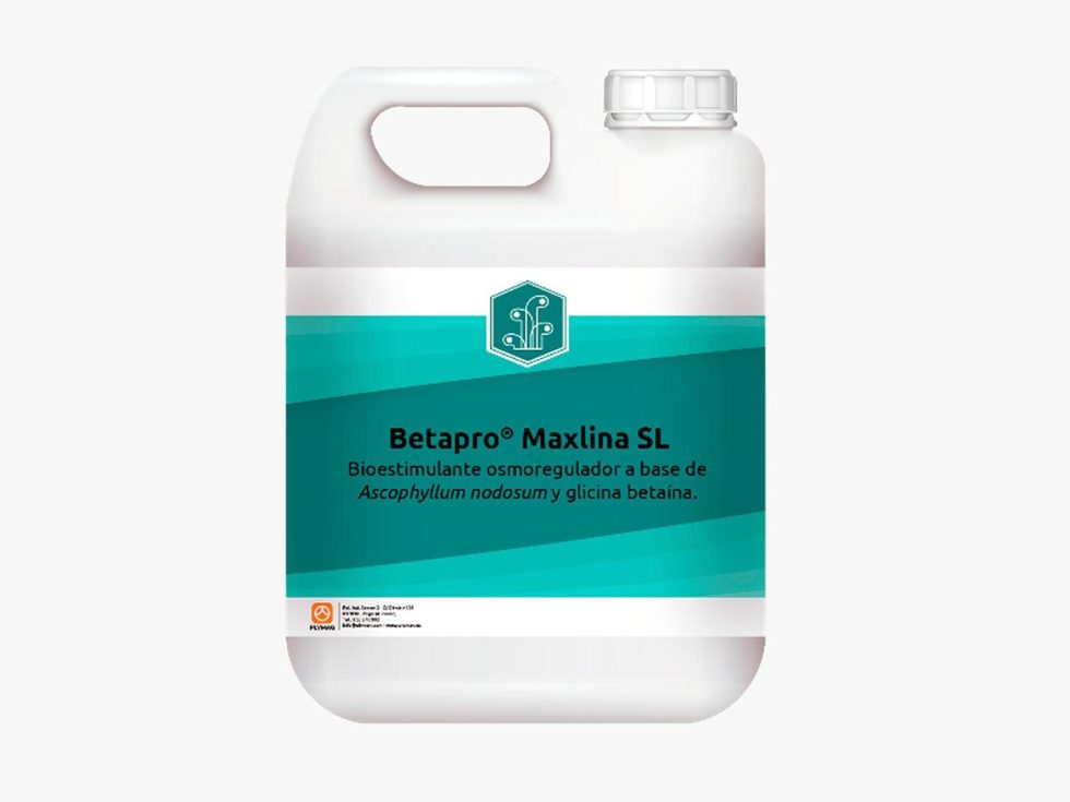Betapro® Maxlina SL: la bioestimulación como escudo frente al estrés ...