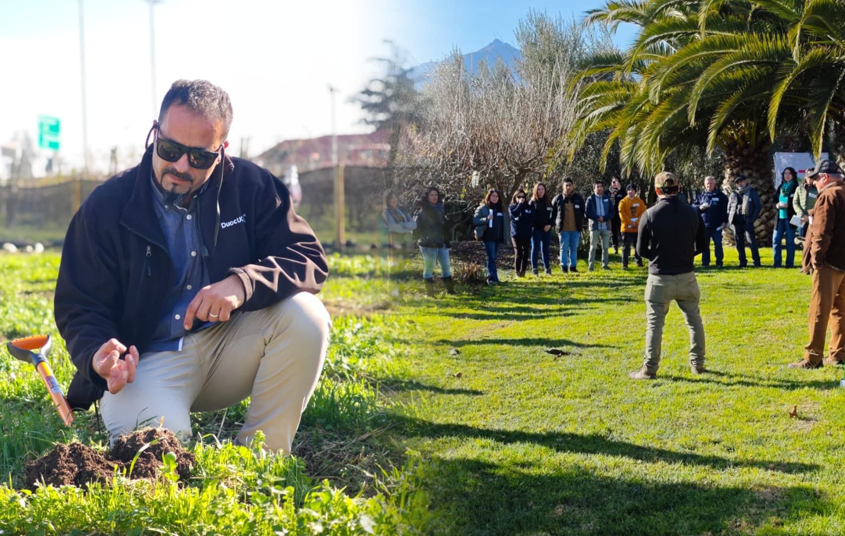 En Chile: impulsan transición hacia suelos vivos y biodiversidad para reducir costos y enfrentar el cambio climático