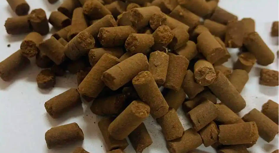 En Argentina desarrollan un biofertilizante pelletizado que convierte residuos en un producto capaz de regenerar suelos