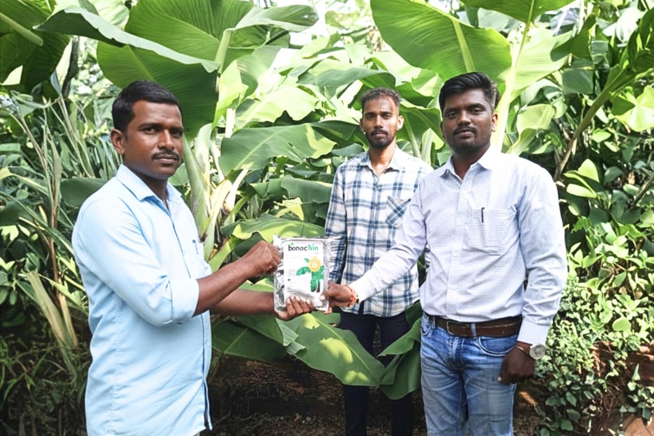 Presentan una nueva solución de biocontrol para hacerle frente al Fusarium Raza 4 Tropical