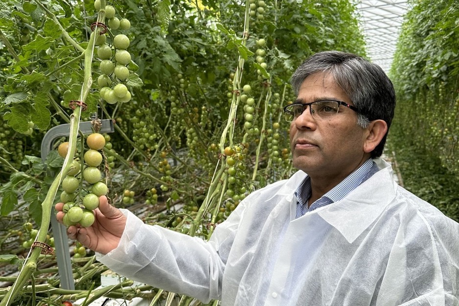 Biofertilizante de nueva generación supera a los biológicos tradicionales de una sola cepa