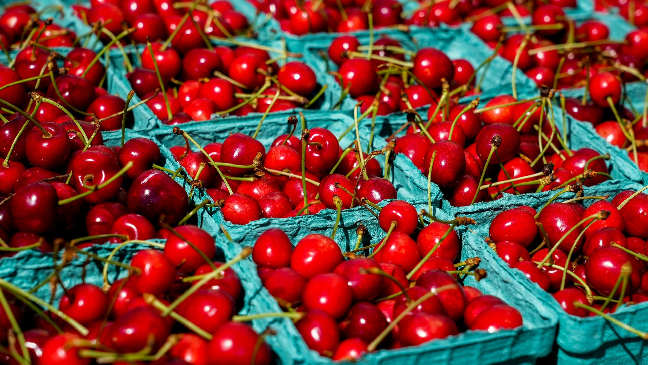 Del interior de la célula a la caja de exportación: cómo Kelpak® mejora el calibre y la calidad de la fruta