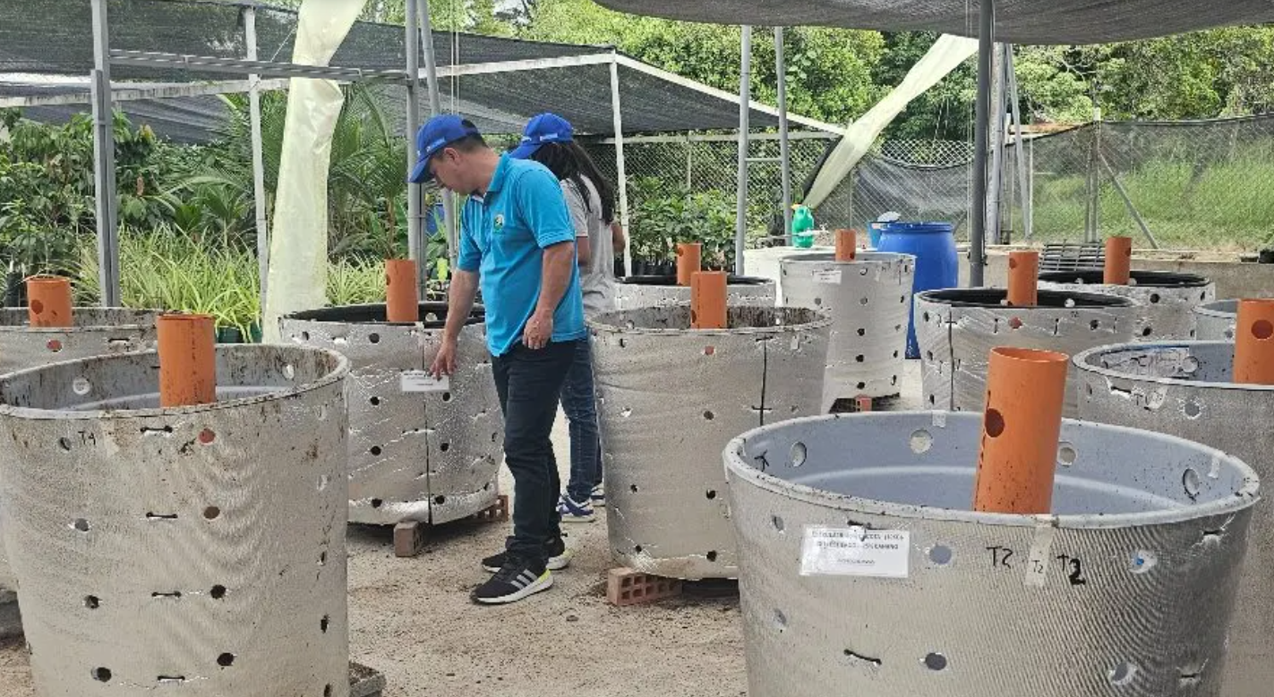 En Colombia: Implementan una biofábrica que usa residuos para la producción de abonos orgánicos