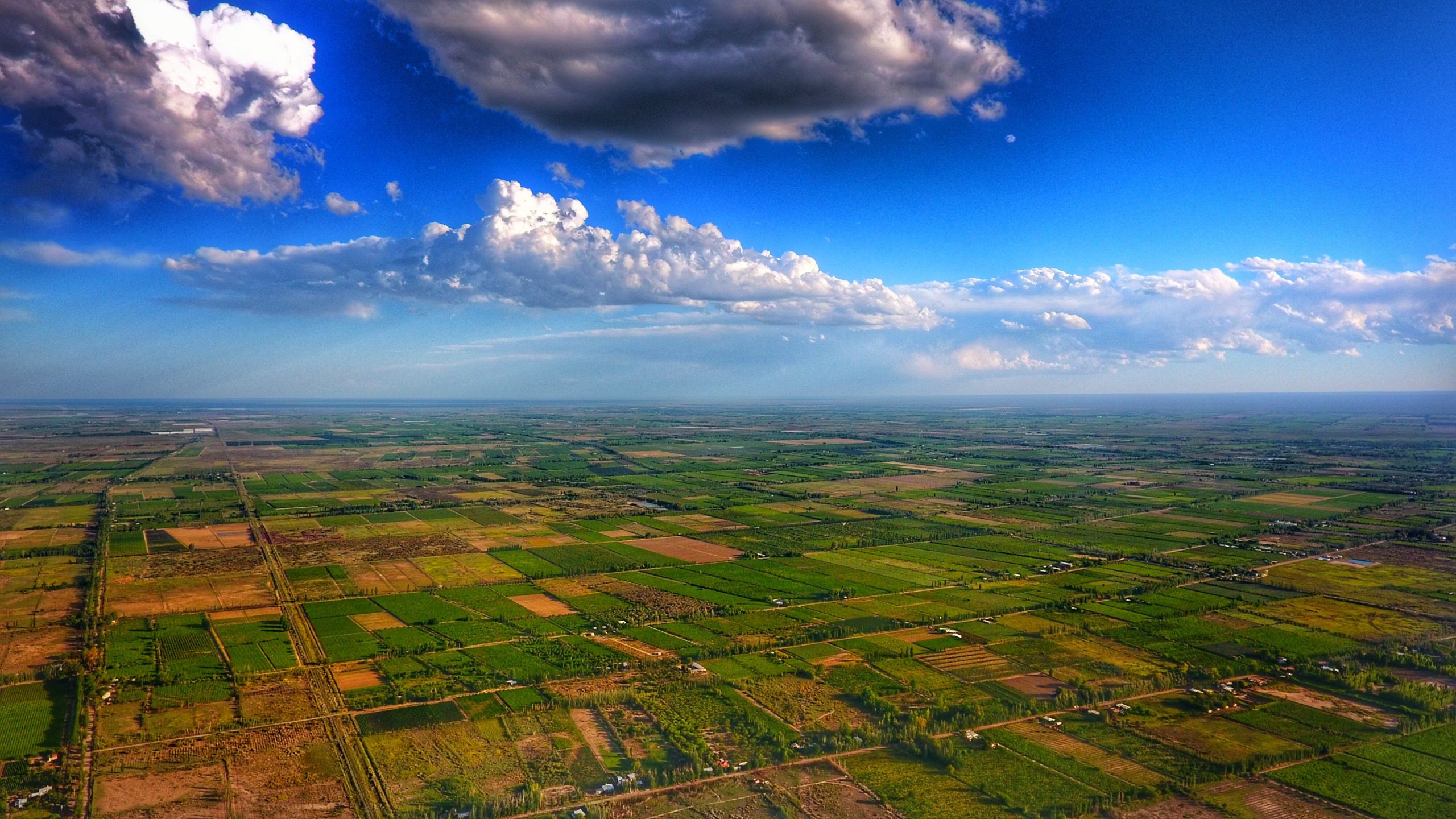 Los biofertilizantes en América Latina: una alternativa local y sostenible