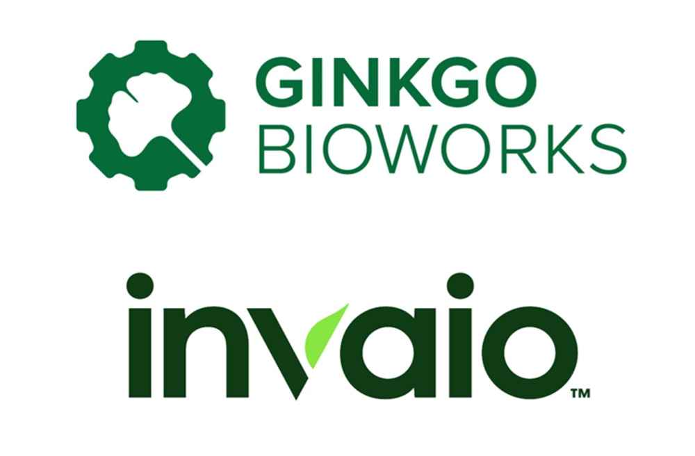 Ginkgo Bioworks e Invaio Sciences se asocian para desarrollar soluciones agrícolas a base de péptidos