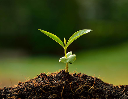 SAS Group completa la integración de Pevesa Agroscience y potencia su portafolio de biosoluciones agrícolas