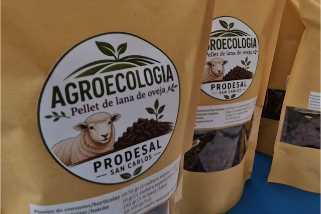 Lana de oveja se transforma en biofertilizante natural en Chile