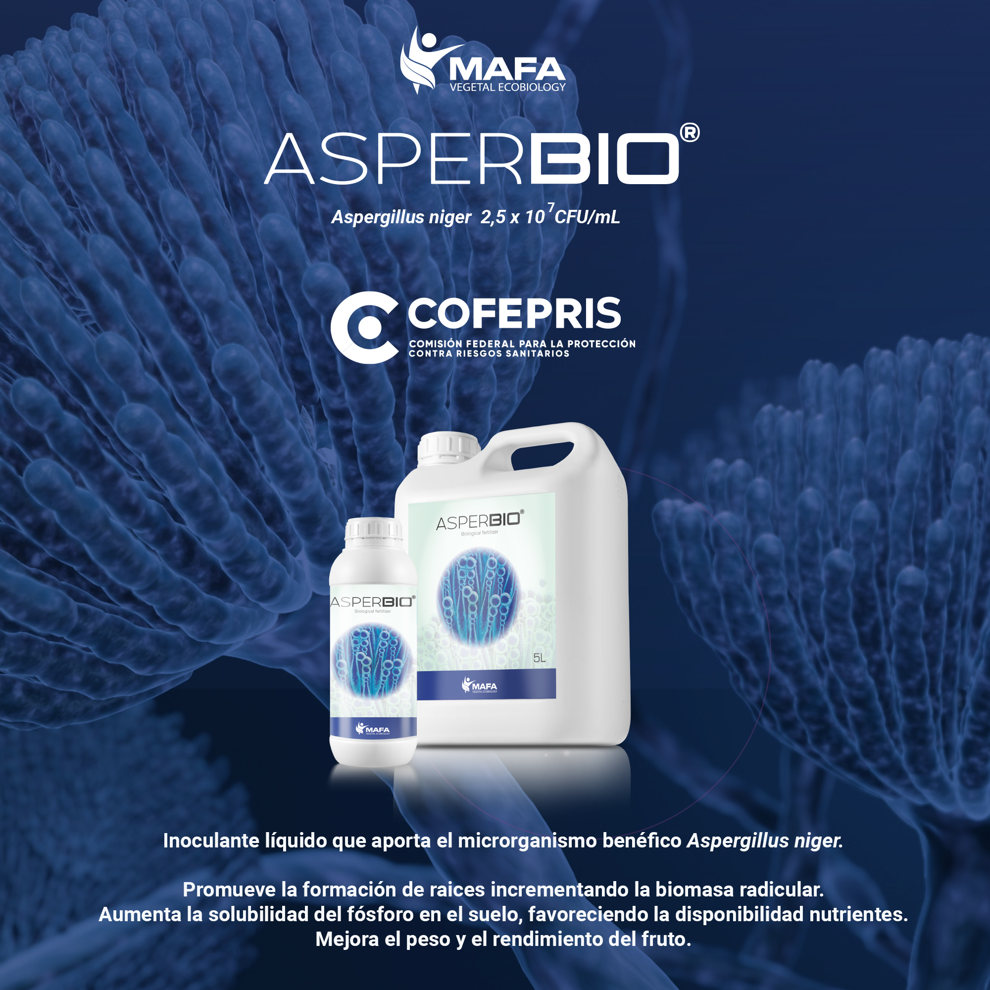 Asperbio obtuvo con éxito el registro sanitario en México