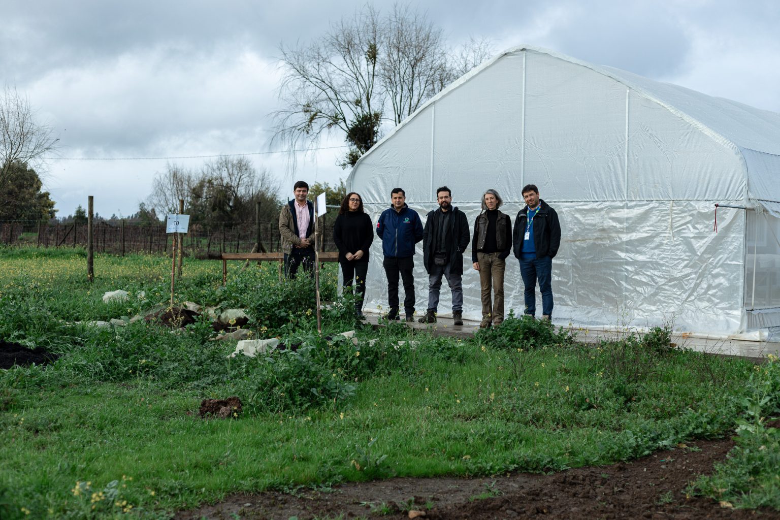 Residuos de la agroindustria del Maule se transforman en bioinsumos y envases biodegradables