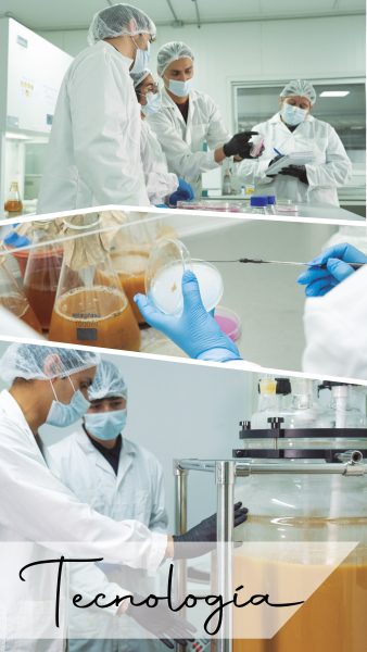 Las inversiones realizadas en 2025-2026 han permitido profundizar en
investigación y desarrollo de nuevos
productos.