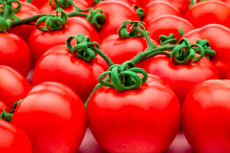 Consiguen aumentar el rendimiento de los cultivos aprovechando los mecanismos naturales de las propias plantas