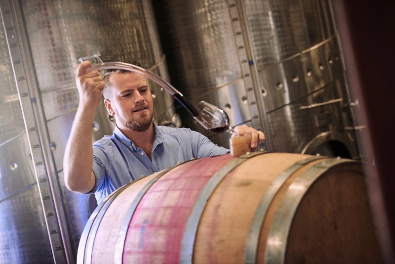 Identifican tres cepas de Lachancea con potencial para controlar una levadura que altera el vino